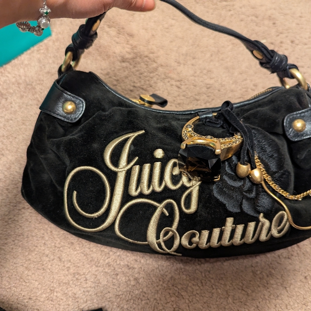 Juicy Couture Velour Bag